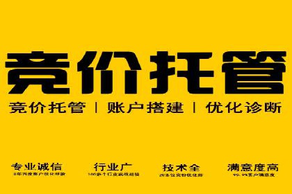百度竞价代理技巧：经典成功案例解析